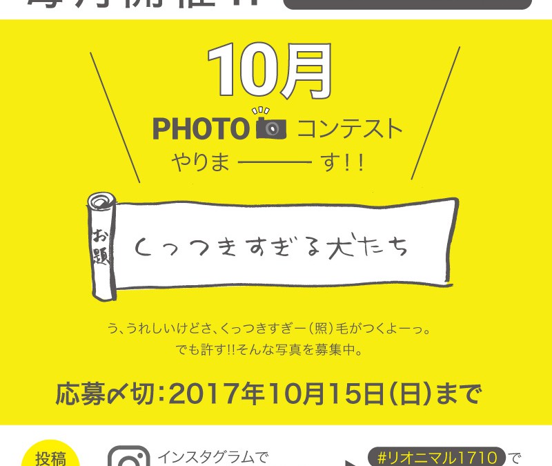 毎月開催！10月度Instagramフォトコンテスト