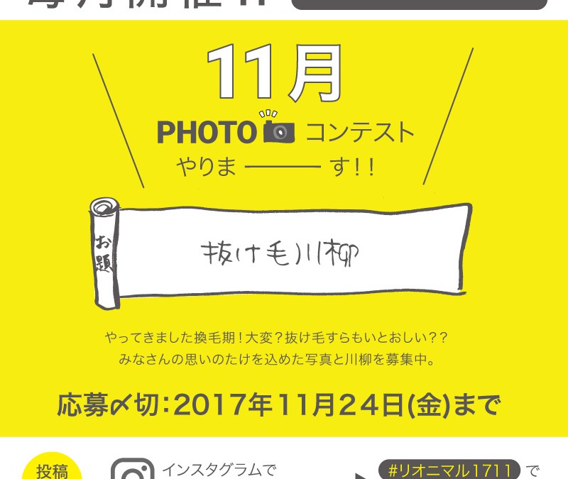 毎月開催！11月度Instagramフォトコンテスト