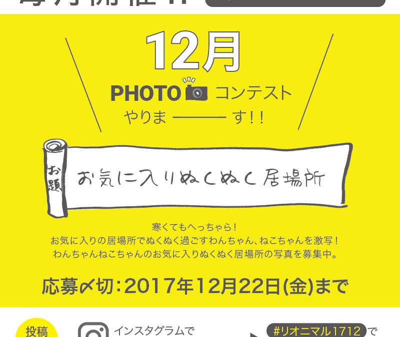 毎月開催！12月度Instagramフォトコンテスト