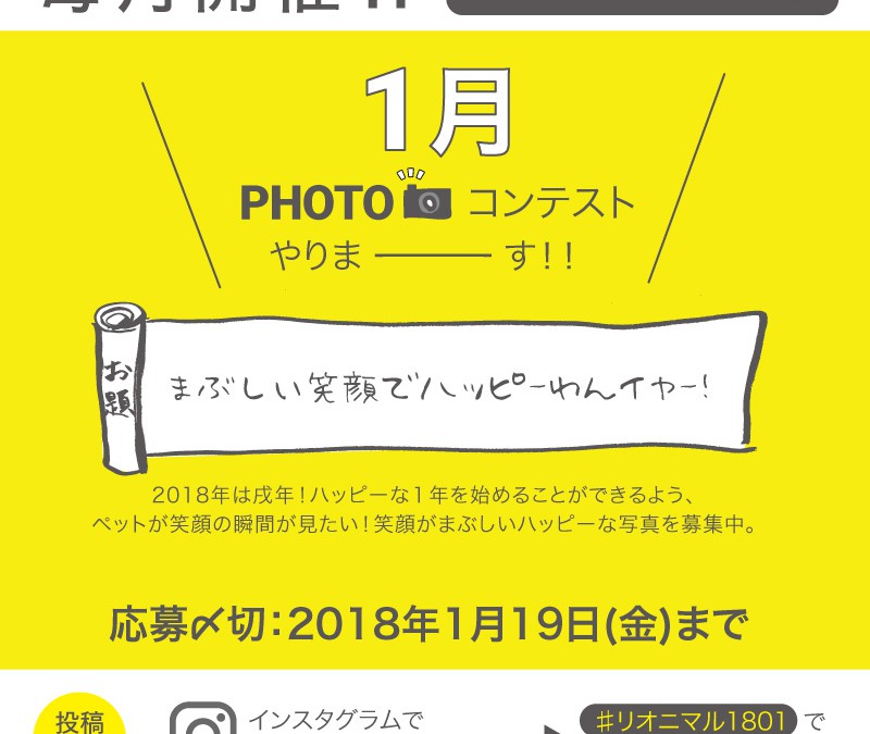 毎月開催！1月度Instagramフォトコンテスト