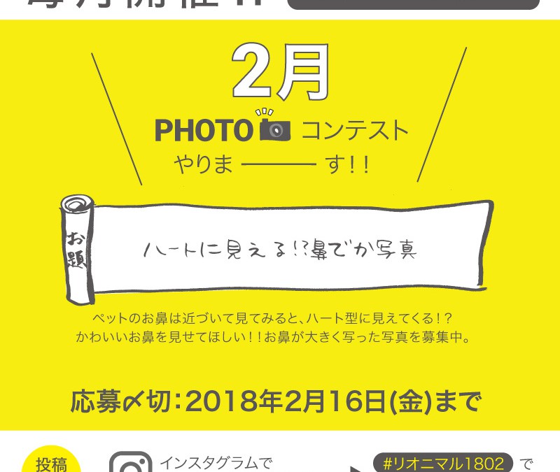 毎月開催！2月度Instagramフォトコンテスト