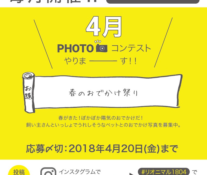 毎月開催！4月度Instagramフォトコンテスト