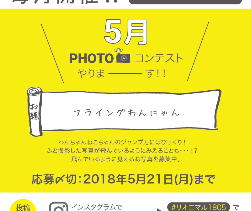 毎月開催！5月度Instagramフォトコンテスト