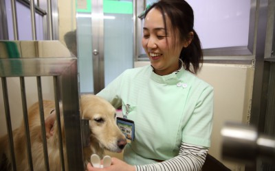 名古屋市動物愛護センターインタビュー第一回：小さな努力の積み重ね。名古屋市が犬の殺処分ゼロを達成した理由。